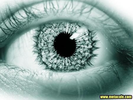 mon oeil